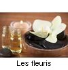 LES FLEURIS