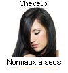 CHEVEUX NORMAUX A SECS