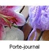 PORTE-JOURNAL